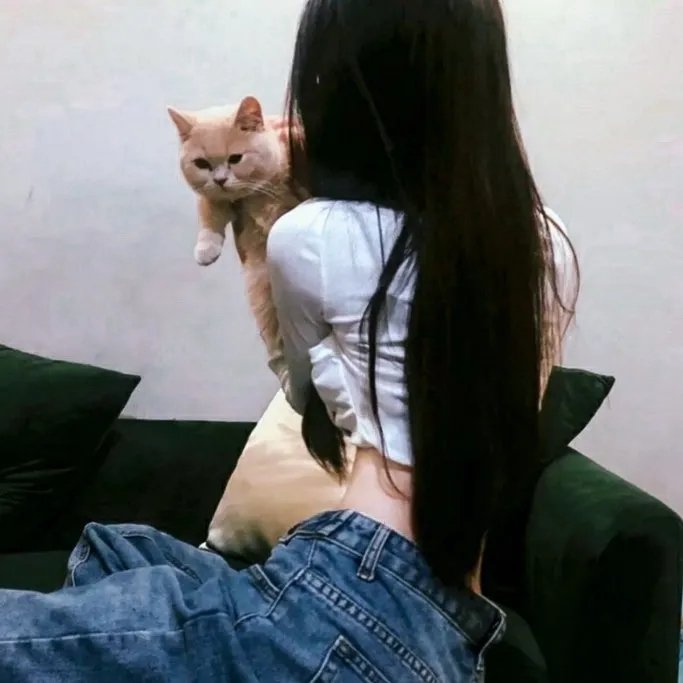 犯罪档案